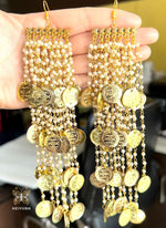 Load image into Gallery viewer, Rimjhim-Earrings-1